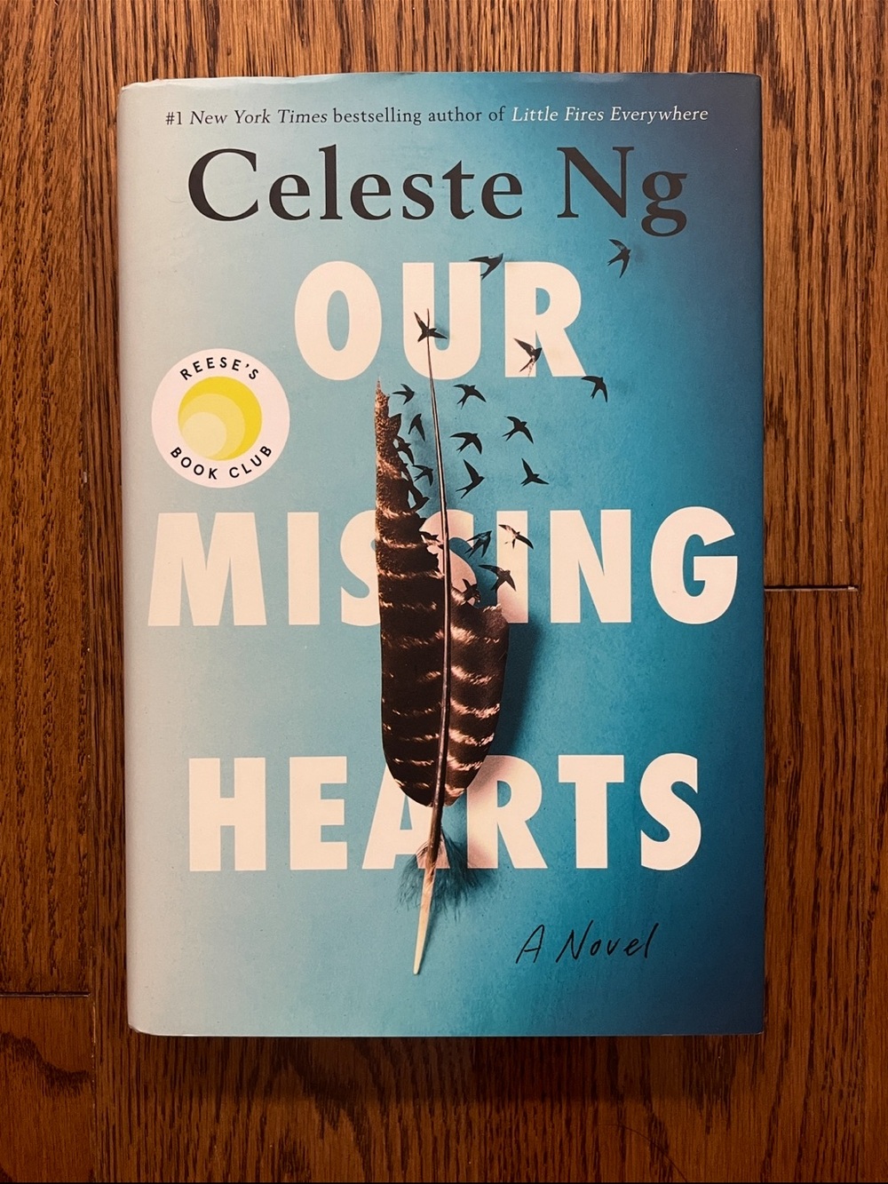 Celeste Our Missing Hearts Hardcover - Teal with Black Feather